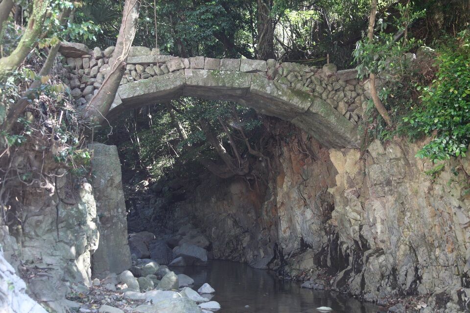 桑野の梯橋(かけはしばし)全景