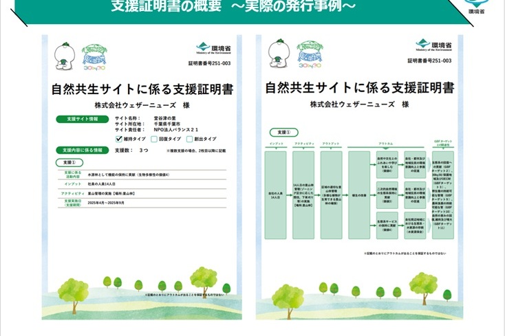 支援証明書の実際の発行事例