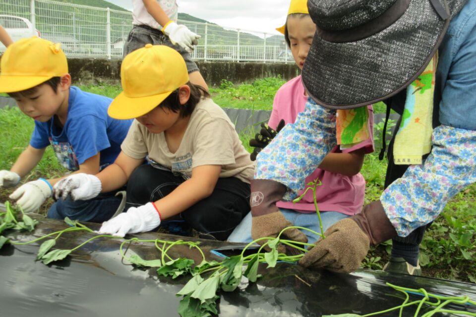 地域の人々の参画により自分が暮らす地域への関心が高まります