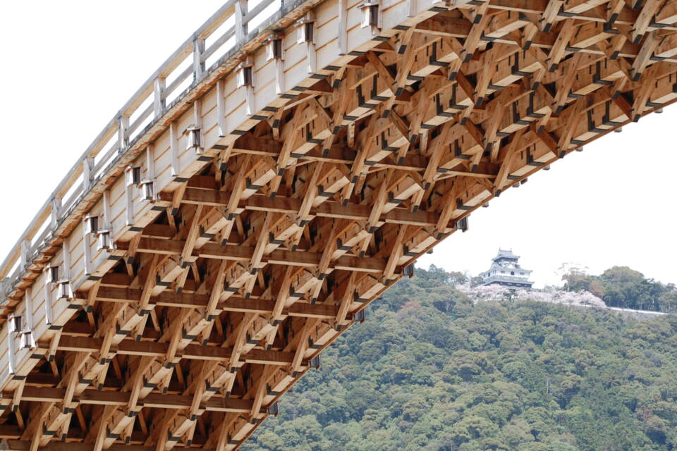 河原から錦帯橋を見上げる。背後に見えるのは岩国城