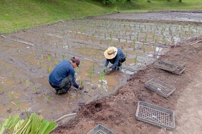なぜ寄付を募るのか 画像