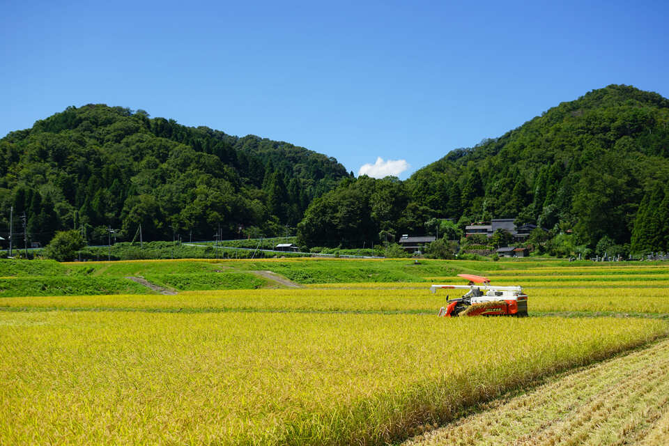 なぜ寄付を募るのか 画像