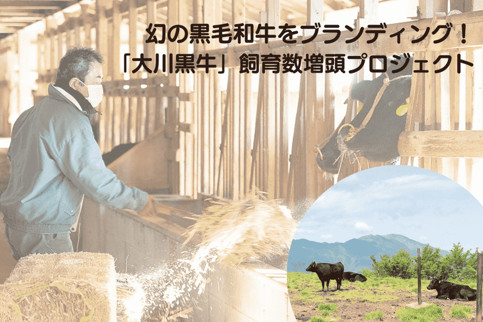 幻の黒毛和牛をブランディング!「大川黒牛」飼育数増頭プロジェクト