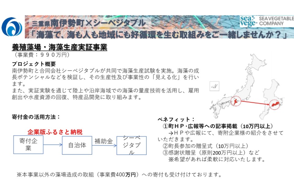 (南伊勢町×合同会社シーベジタブル連携) 養殖藻場・海藻生産実証事業