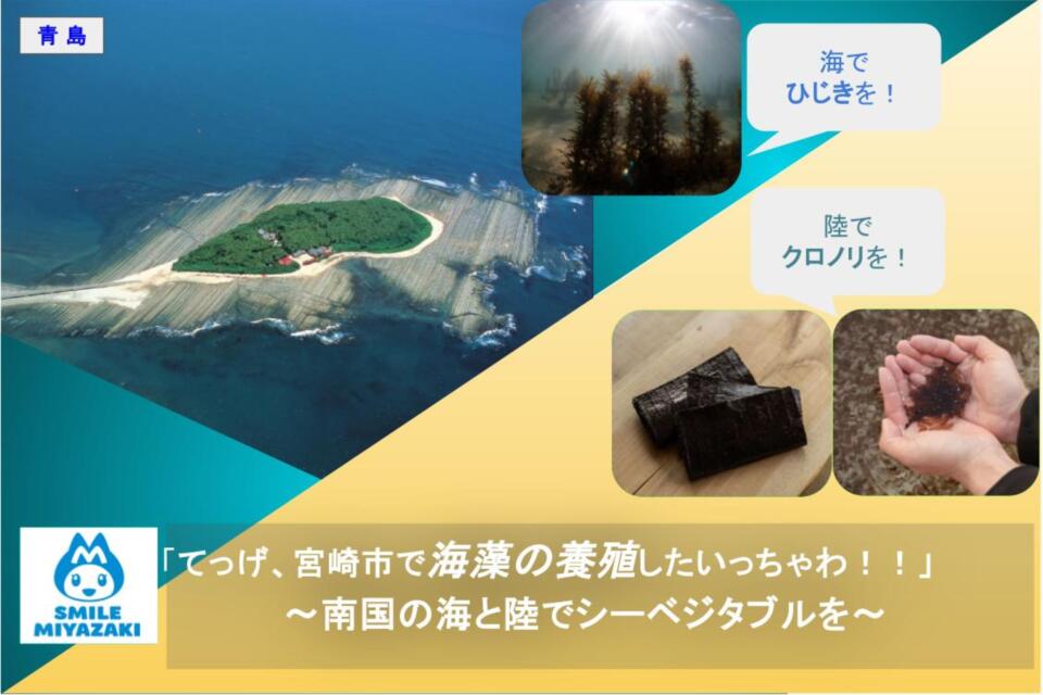 「てっげ、宮崎市で海藻を養殖したいっちゃわ!!」〜南国の海と陸でシーベジタブルを〜(海藻養殖実証試験支援事業)