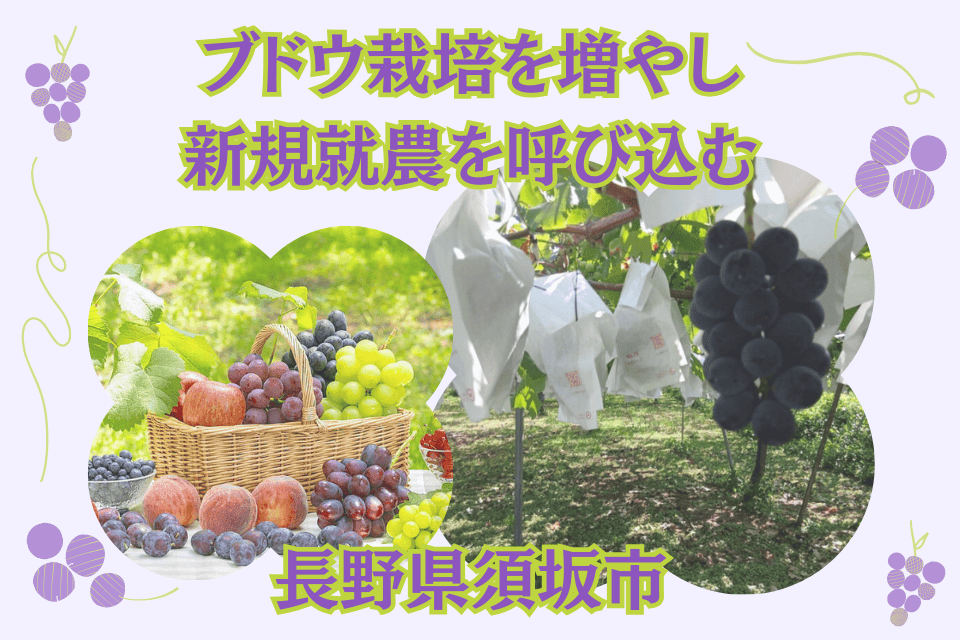 ブドウ栽培を増やし新規就農を呼び込む