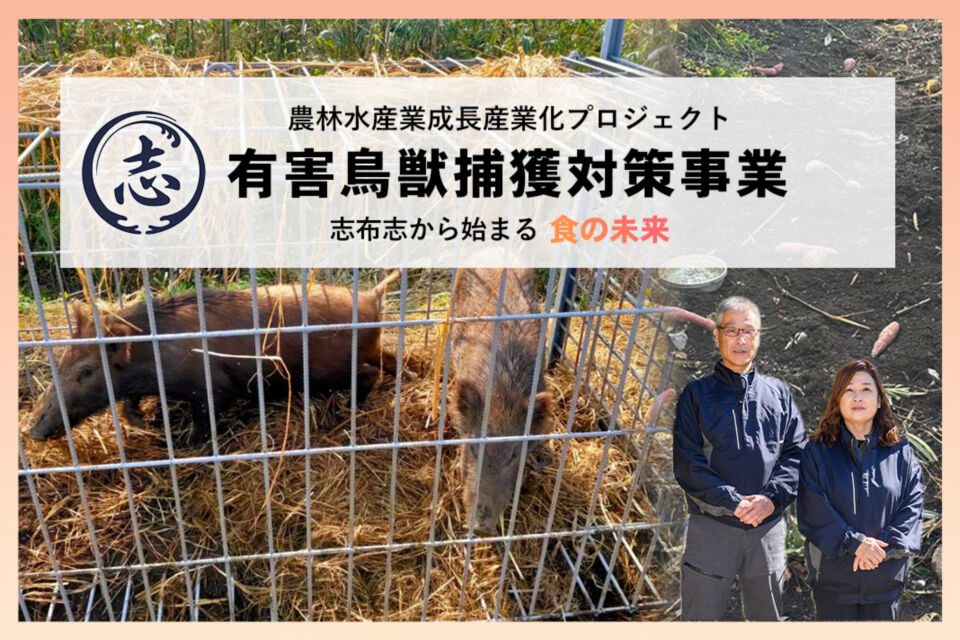 農林水産業成長産業化プロジェクト