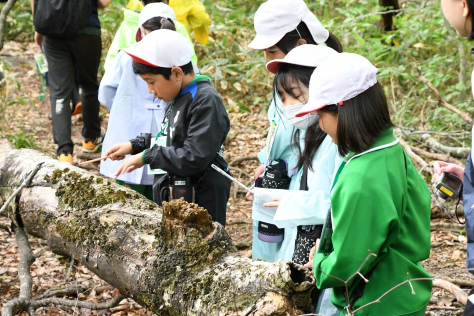 たんばら・森林の学校 ~子どもたちの自然を愛する心を育む~