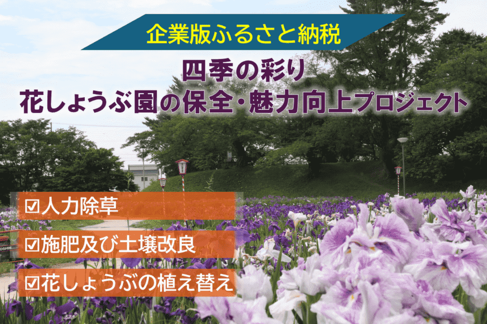 四季の彩り 花しょうぶ園の保全・魅力向上プロジェクト