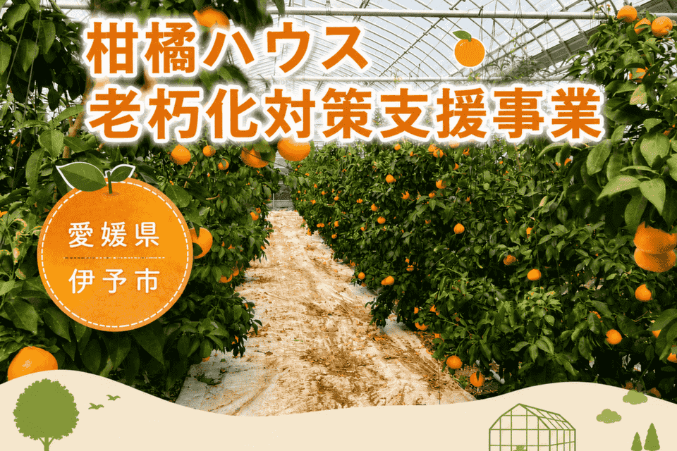 柑橘ハウス老朽化対策支援事業