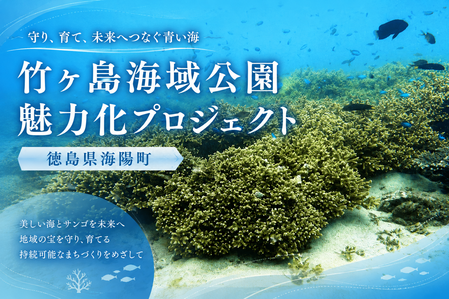 竹ケ島海域公園魅力化プロジェクト