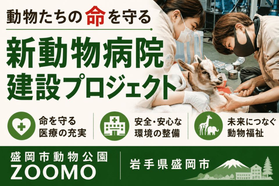 新動物病院建設プロジェクト