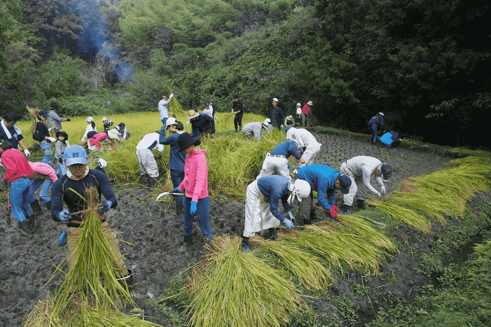 木津川市 千年の里山をつくるプロジェクト