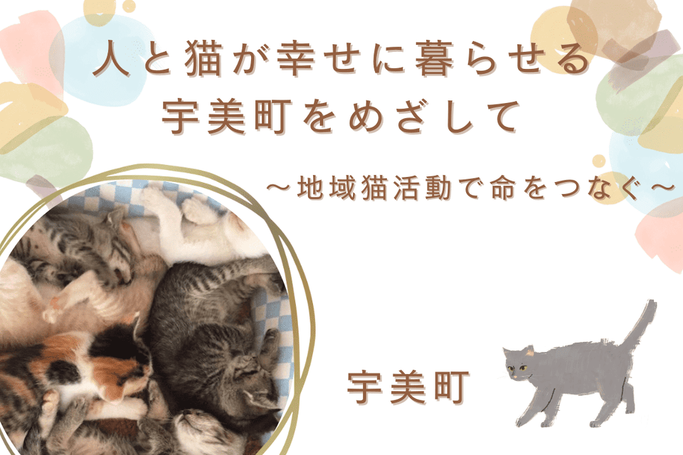 人と猫が幸せに暮らせる宇美町をめざして~地域猫活動で命をつなぐ~