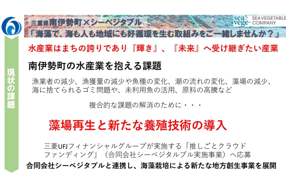 (南伊勢町×合同会社シーベジタブル連携) 養殖藻場・海藻生産実証事業