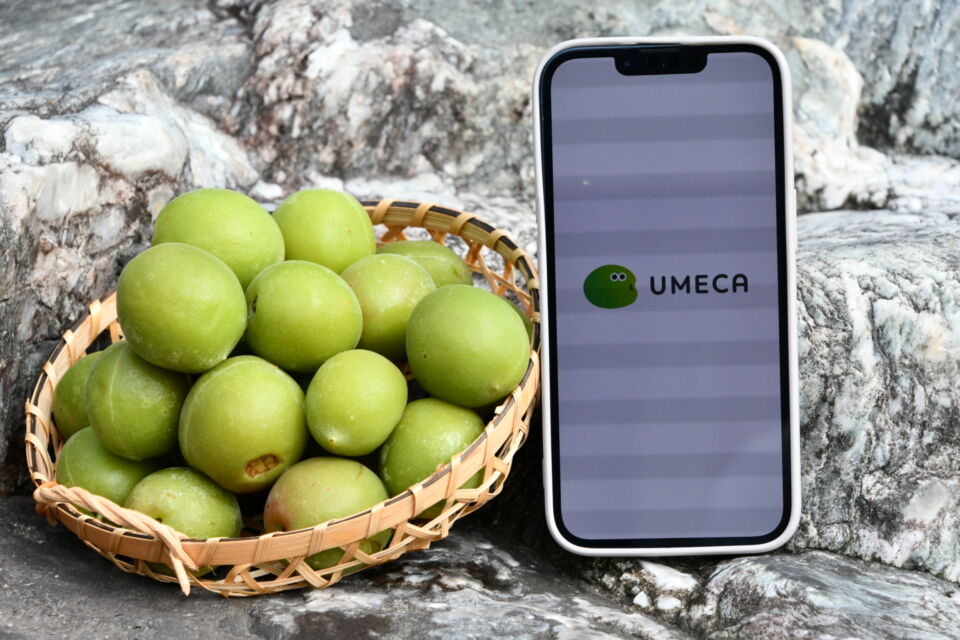 UMECAで地域経済を活性化しよウ! プロジェクト