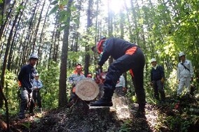 「みなかみ町おもちゃ美術館(仮称)」整備事業