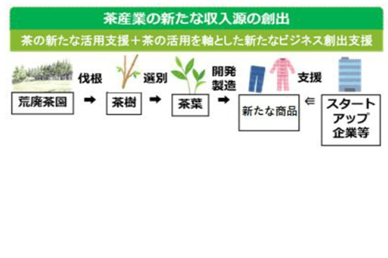 耕作放棄茶園有効活用事業