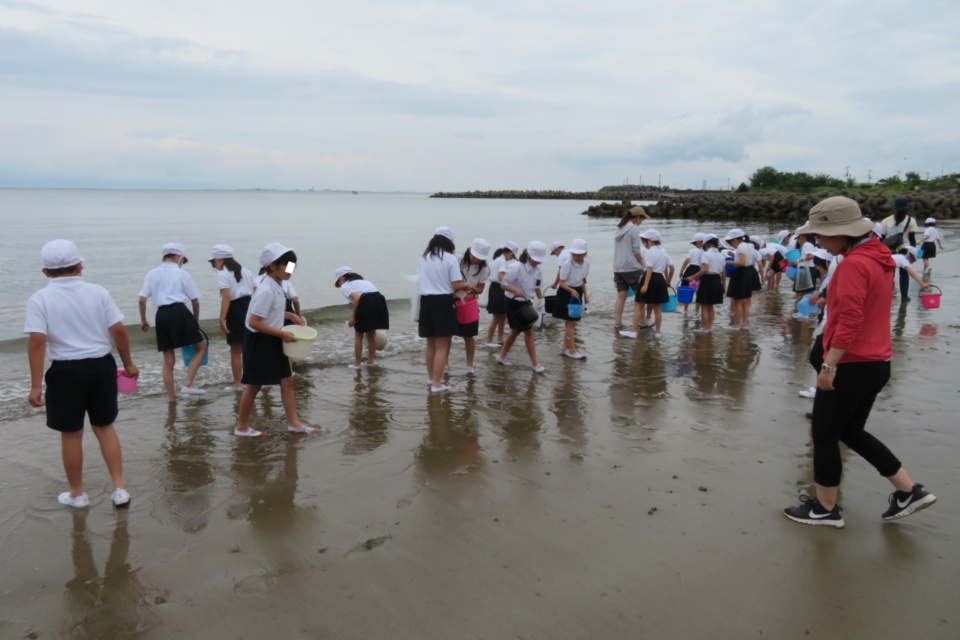 海と学ぶ阪南っこ育成プロジェクト