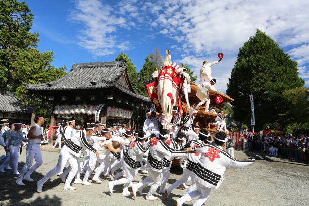 熊取だんじり祭り未来継承プロジェクト