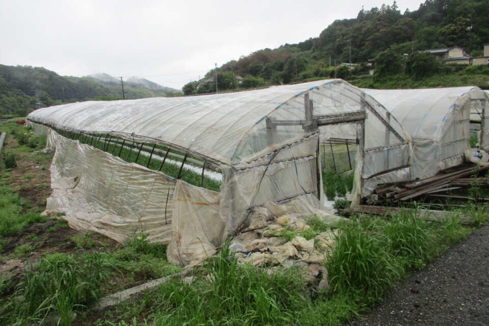 次世代につなぐ園芸用ハウス整備プロジェクト