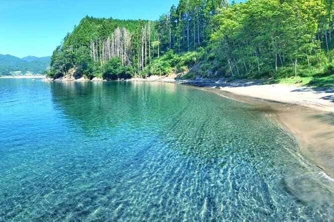 スポーツ・アクティビティ体験型交流創出・展開事業