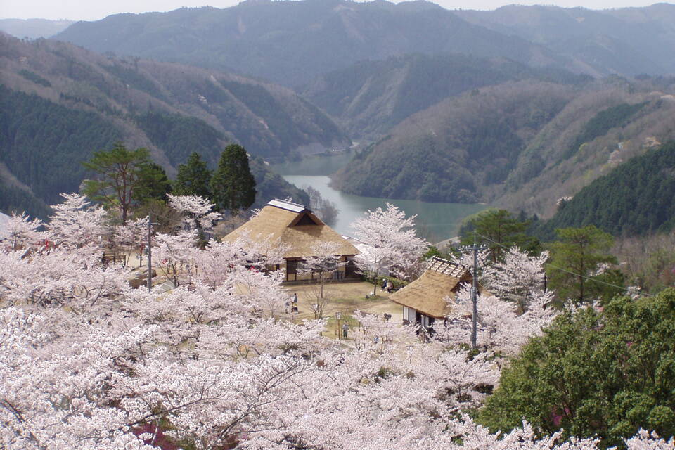 美咲町黄福タクシー事業