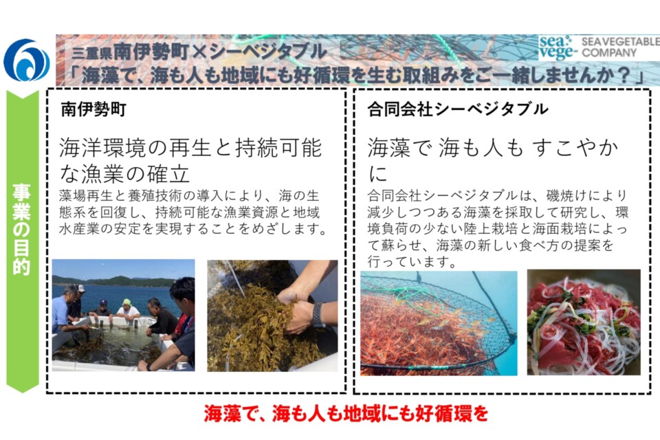 (南伊勢町×合同会社シーベジタブル連携) 養殖藻場・海藻生産実証事業