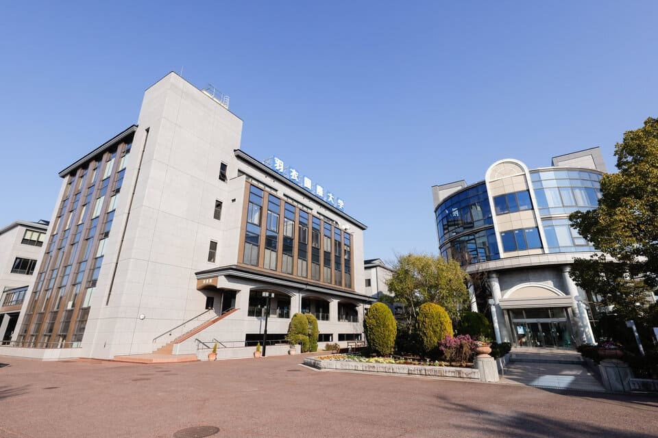 大学生を応援!羽衣国際大学元気なまちづくり応援事業