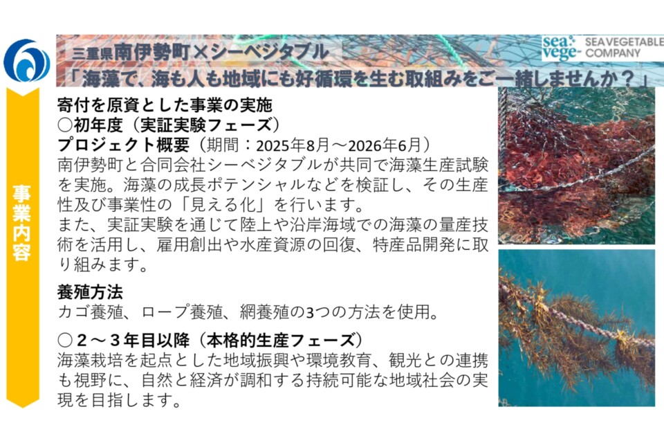 (南伊勢町×合同会社シーベジタブル連携) 養殖藻場・海藻生産実証事業
