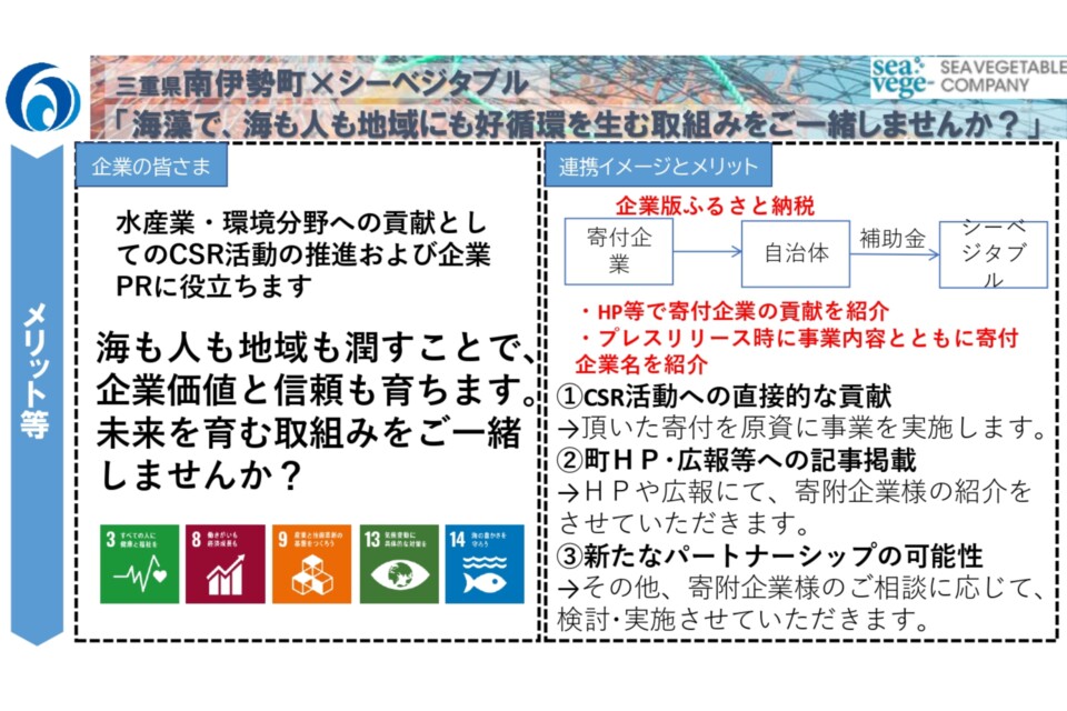(南伊勢町×合同会社シーベジタブル連携) 養殖藻場・海藻生産実証事業