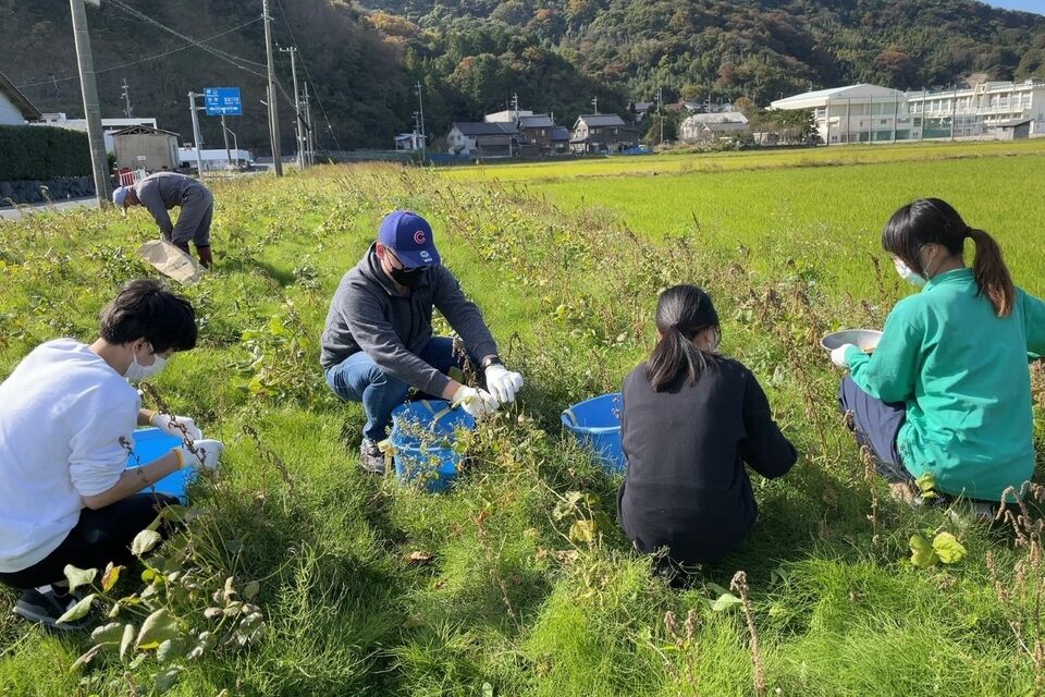 京都府立大学実習
