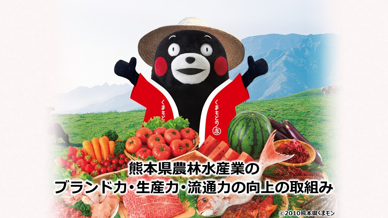 熊本県や熊本県の市町村のプロジェクト動画がアップされました